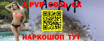 гашик Донецк