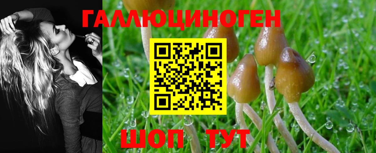 Галлюциногенные грибы GOLDEN TEACHER  Вход с VPN  Мелеуз 